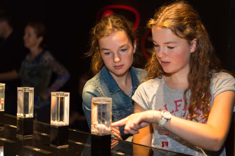 Heidelberg: BODY WORLDS Museum Entry Ticket - Practical Details and Tips for Your Visit