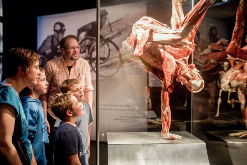 Heidelberg: BODY WORLDS Museum Entry Ticket - The Sum Up