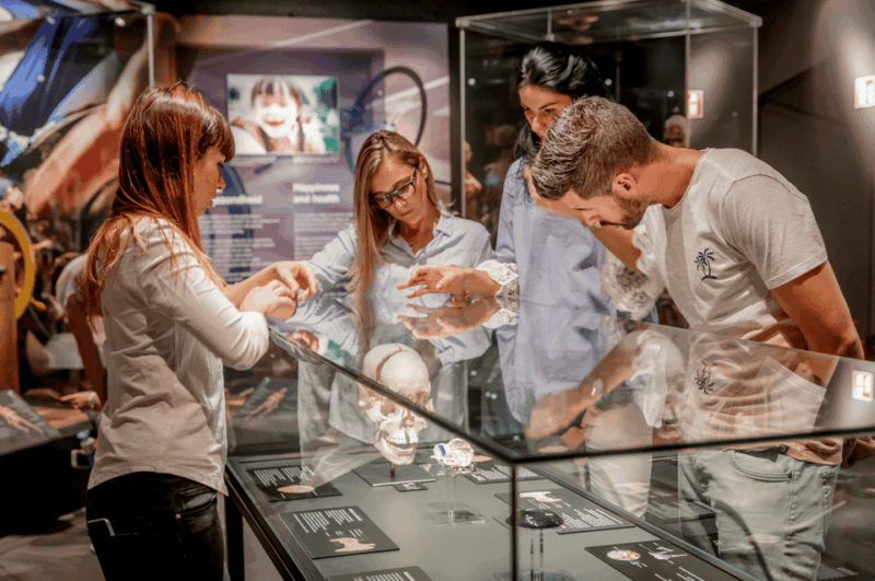 heidelberg-body-worlds-museum-entry-ticket