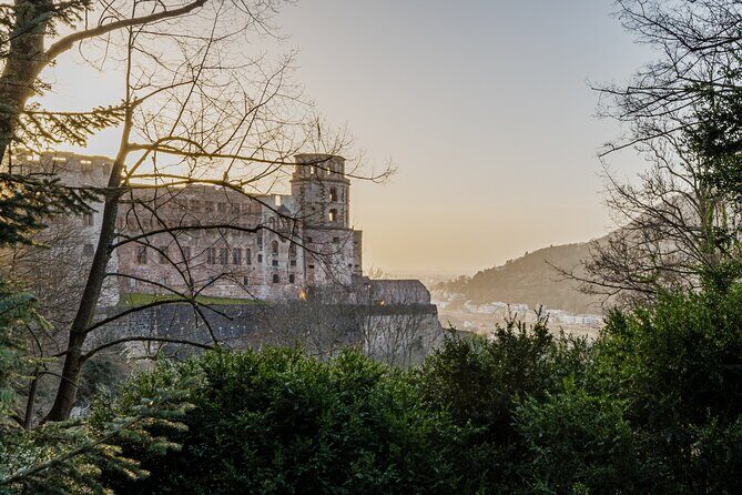 Heidelberg Castle and City Day Tour from Frankfurt - An Introduction to the Heidelberg Day Tour