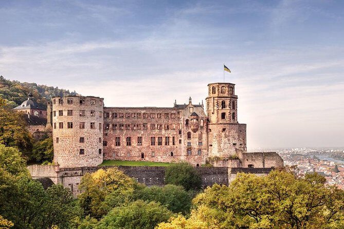 Heidelberg Castle and Old Town Tour from Frankfurt - Key Points