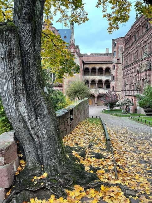 Heidelberg: Discover Heidelberg Castle - experience history up close - The Great Terrace and Stunning Views