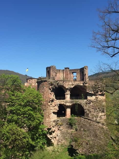 Heidelberg: Discover Heidelberg Castle - experience history up close - The Pharmacy Museum and Additional Highlights
