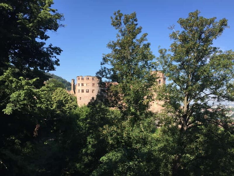 Heidelberg: Discover Heidelberg Castle - experience history up close - Who Is This Tour Best For?