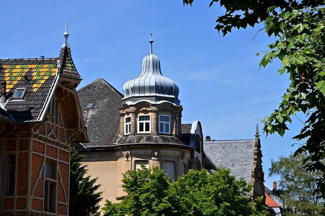 heidelberg-private-walking-tour-with-a-professional-guide
