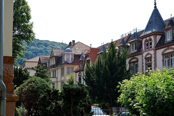 heidelberg-private-walking-tour-with-a-professional-guide