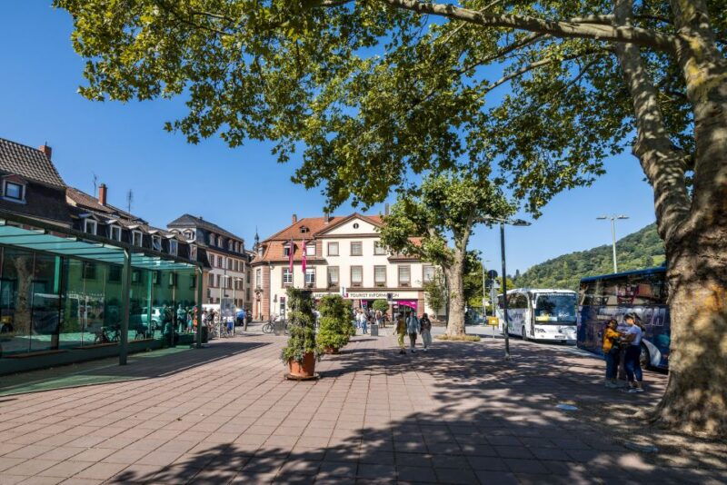 heidelberg-sightseeing-bus-and-castle-tour