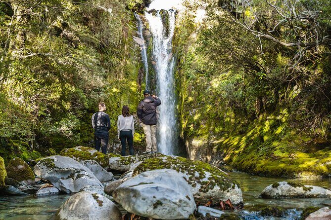 Heli-Picnic Alpine Lake Kahurangi National Park - What Makes This Tour Special?