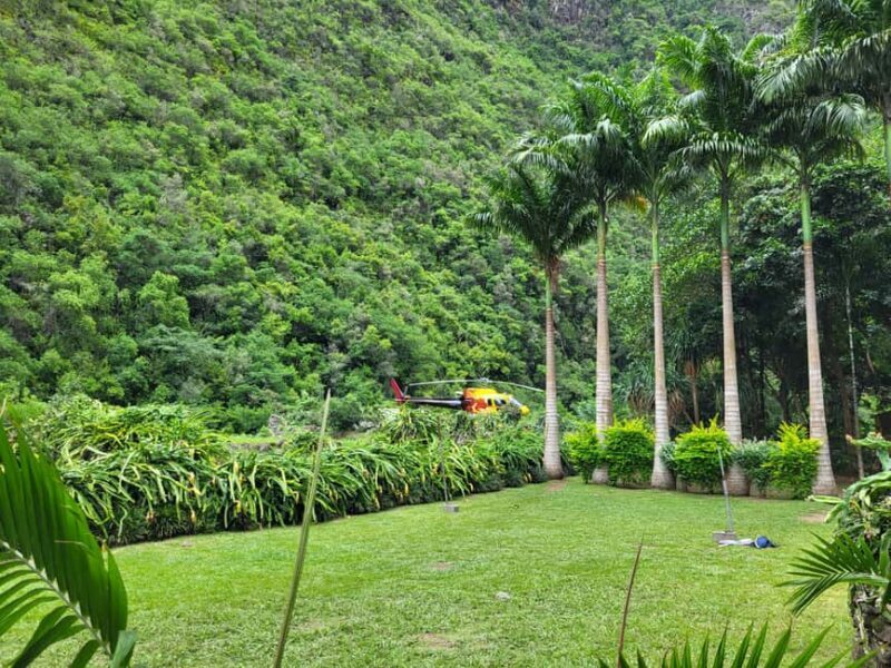 Helicopter flight over the waterfalls and basins of Reunion Island with lunch - Who Will Love This Experience?