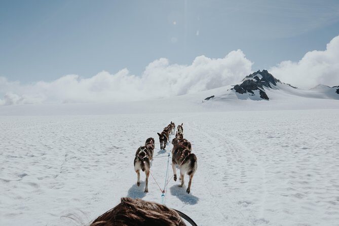 Helicopter Glacier & Dog Sledding Adventure Tour - The Experience in Detail