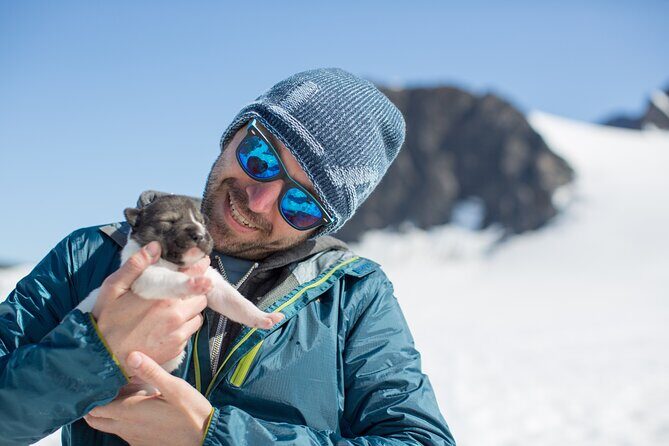 Helicopter Glacier Dogsled Tour + Lower Glacier Landing - ANCHORAGE AREA - The Real Benefits as Highlighted in Reviews