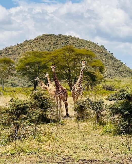 Hell's gate bike tour and lake Naivasha boat safaris - Final Thoughts: Who Is This Tour Best For?