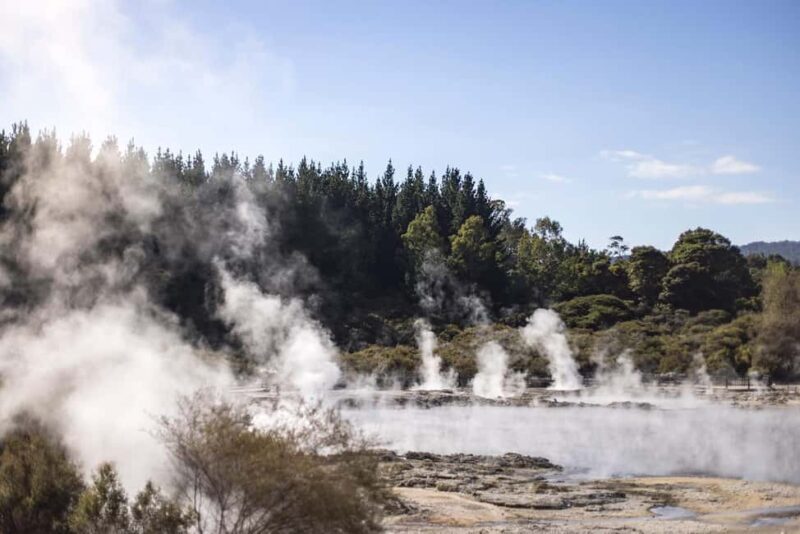 HELL'S GATE Mud Spa, Rotorua - Group Day Tour Ex Auckland - Starting the Day: From Auckland to Rotorua