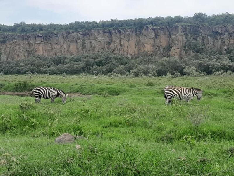 Hells Gate National Park and Lake Naivasha Day Tour - Exploring Kenyas Natural Gems