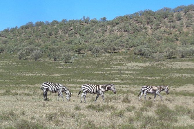 Hells Gate National Park Day Trip - Final Thoughts