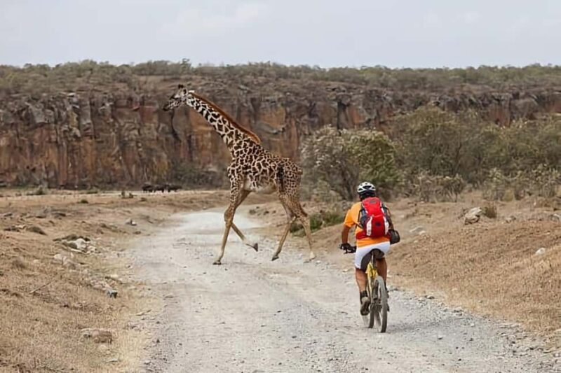 Hell's Gate National Park & Lake Naivasha Boat Ride Day Tour - An In-Depth Look at the Tour