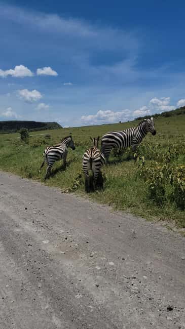 Hells Gate National Park & Lake Naivasha Boat Ride - Exploring Hells Gate National Park