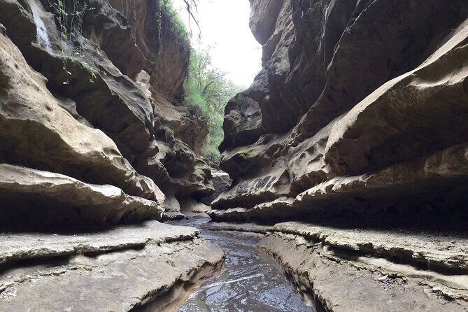 Hells Gate National Park & Lake Naivasha Day Trip from Nairobi - Key Points