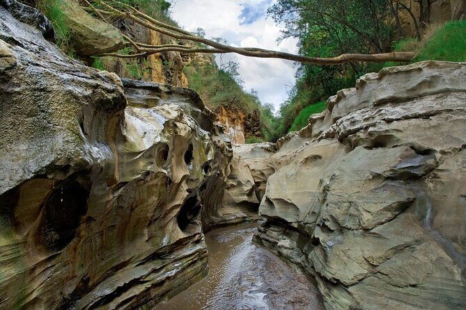 Hells Gate National Park & Lake Naivasha Day Trip from Nairobi - Why This Tour Is Best For