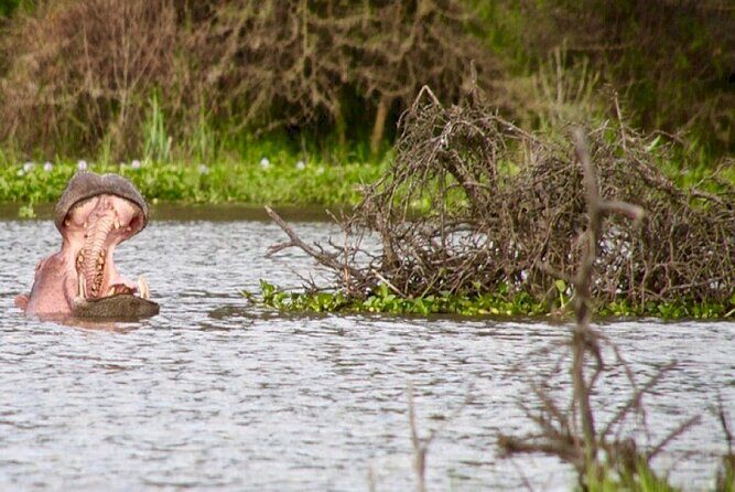 Hell's Gate National Park Private Bike Tour from Nairobi - FAQs