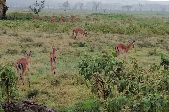 Hell's Gate National Park Private Bike Tour from Nairobi - The Great Rift Valley Viewpoint