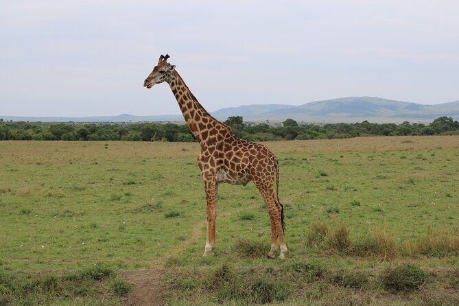Hell's Gate National Park Private Bike Tour from Nairobi - The Sum Up