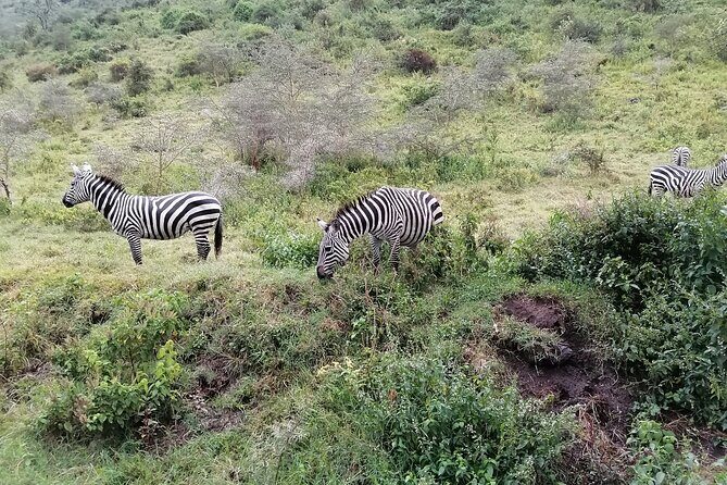 Hell's Gate National Park Private Bike Tour from Nairobi - FAQ
