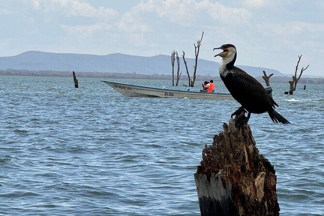 Hell's Gate Park and Lake Naivasha Day Tour - Introduction to the Experience  