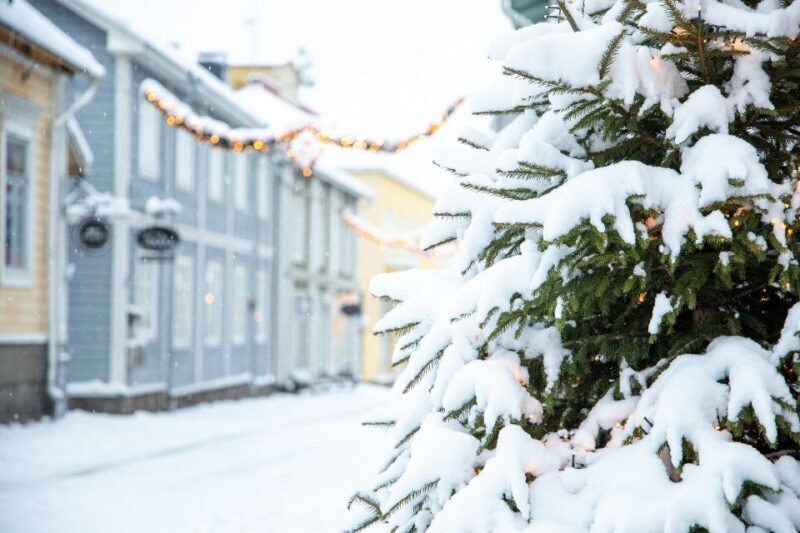 Helsinki: All highlights & Medieval Porvoo by VIP Car - The Practicalities: Comfort and Convenience  