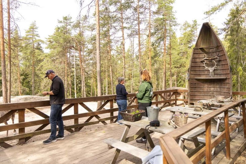 Helsinki: Buggy Ride, Reindeer Farm Visit, and Picnic - What to Expect: Practical Details and Tips