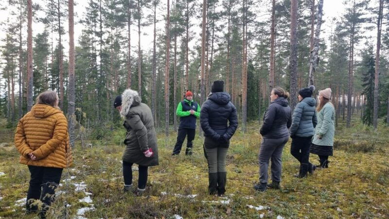 helsinki-guided-nature-experience-with-campfire-and-meal