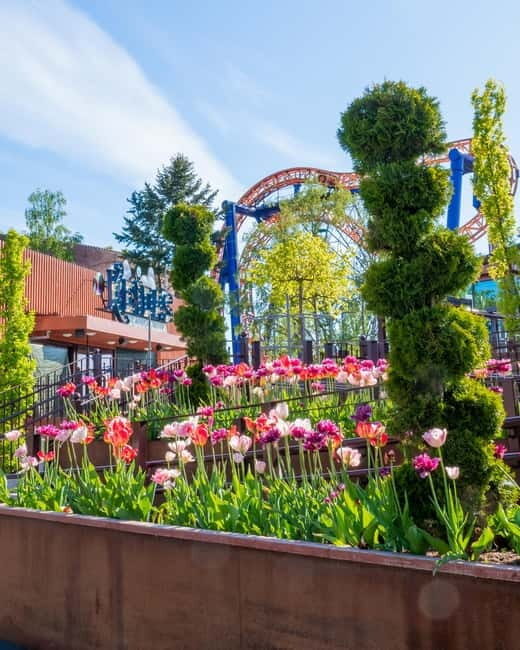 Helsinki: Linnanmäki Amusement Park - Practical Tips for Your Visit