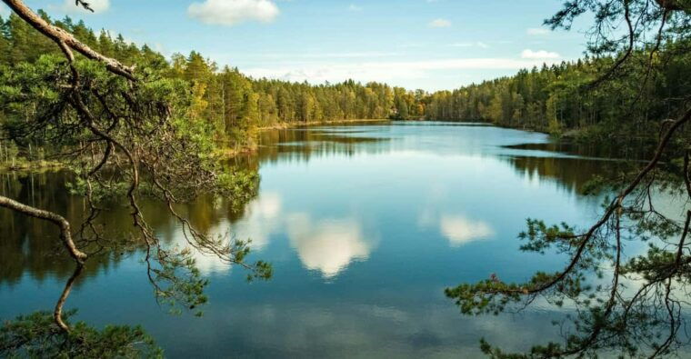 helsinki-nuuksio-national-park-hiking-with-campfire-lunch