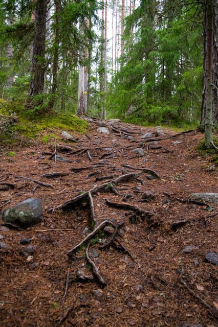 helsinki-nuuksio-national-park-hiking-with-campfire-lunch