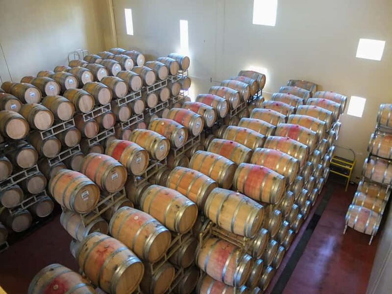Helsinki: Private Visit to Finnish Berry Winery with Tasting - Discover the Flavors of Finland: A Private Visit to the Finnish Berry Winery