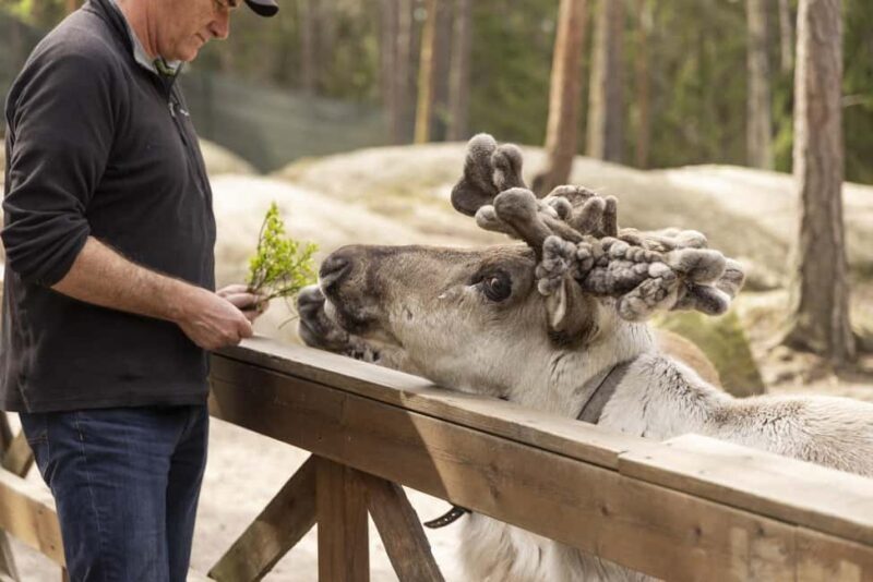 Helsinki: Reindeer Park and Horse Stable Private Tour - Key Points
