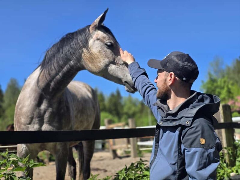 Helsinki: Reindeer Park and Horse Stable Private Tour - Final Thoughts
