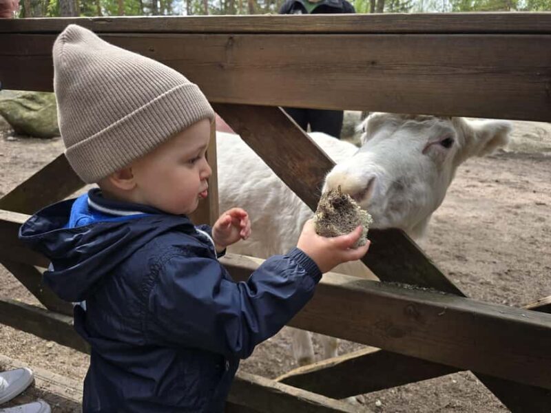 Helsinki: Reindeer Park and Horse Stable Private Tour - FAQ