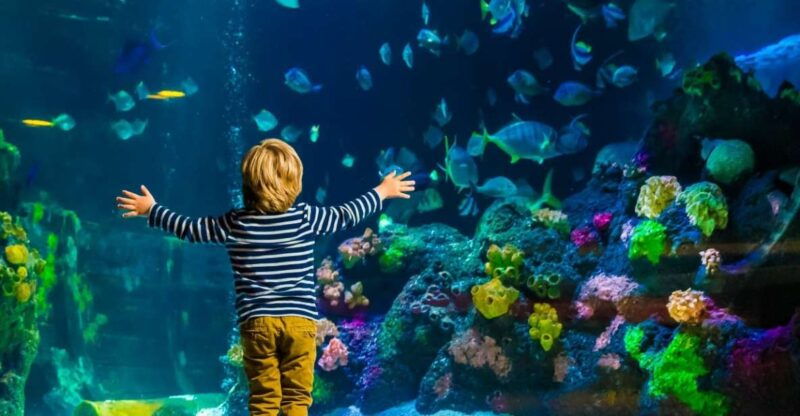 helsinki-sea-life-entrance-tickets