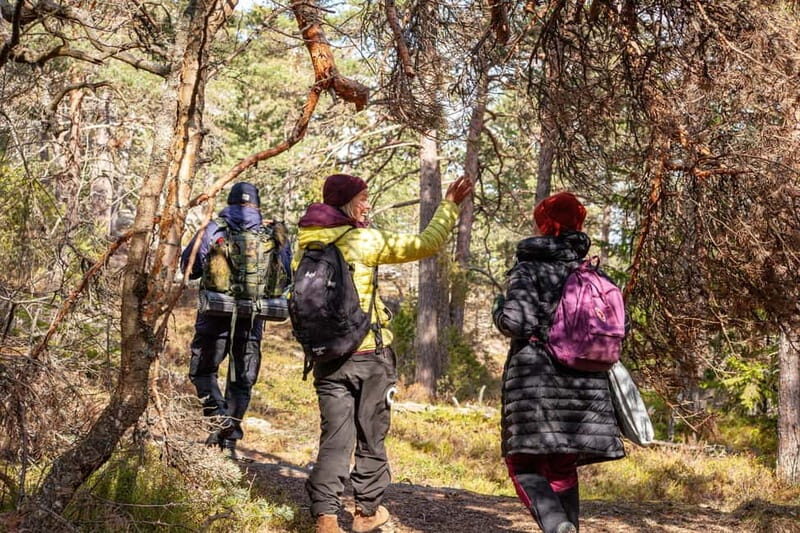 Helsinki: Uutela Guided Nature Hike with Snack - Value and Cost: A Worthwhile Nature Experience