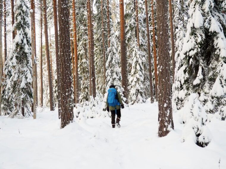 helsinki-winter-wonderland-liesjarvi-national-park-hike
