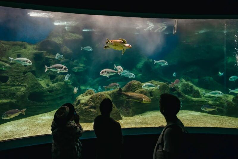 heraklion-area-cretaquarium-admission-ticket