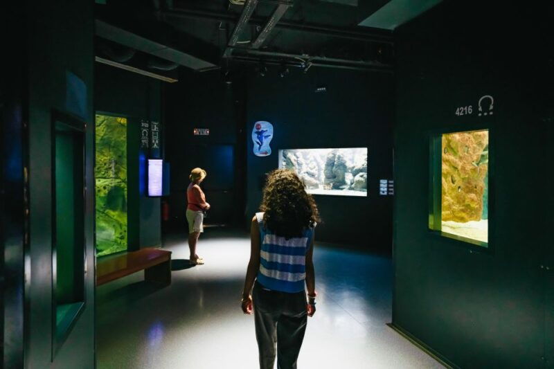 heraklion-area-cretaquarium-admission-ticket