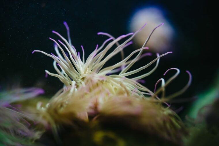 heraklion-area-cretaquarium-admission-ticket