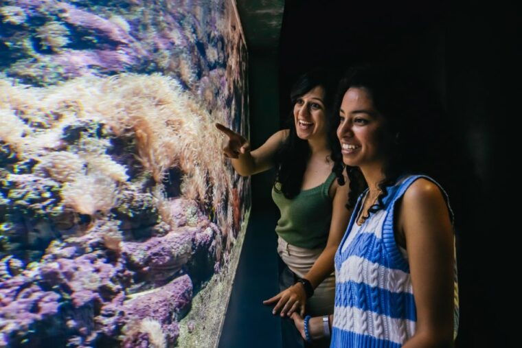 heraklion-area-cretaquarium-admission-ticket