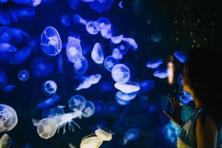heraklion-area-cretaquarium-admission-ticket