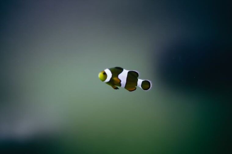 heraklion-area-cretaquarium-admission-ticket