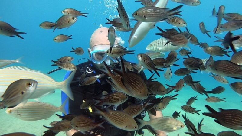 heraklion-beginner-scuba-diving-lesson-with-padi-instructor