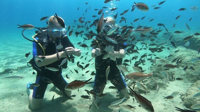 heraklion-beginner-scuba-diving-lesson-with-padi-instructor