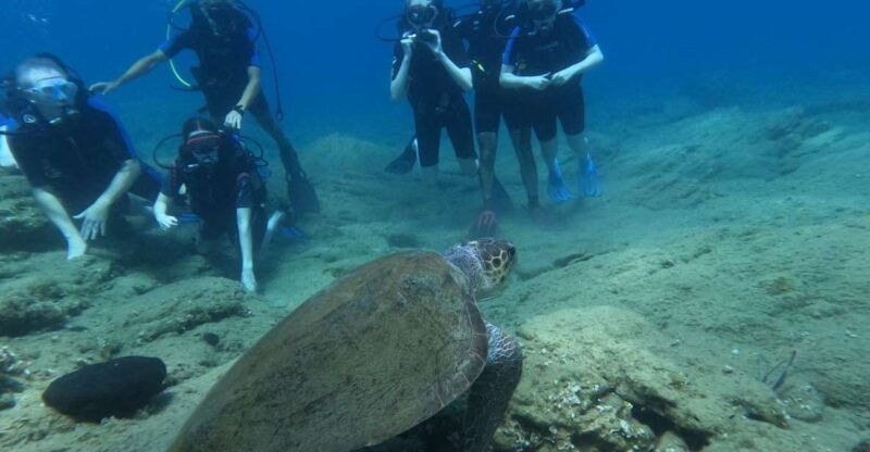 heraklion-beginners-intro-dive-w-2-dives-with-transfer